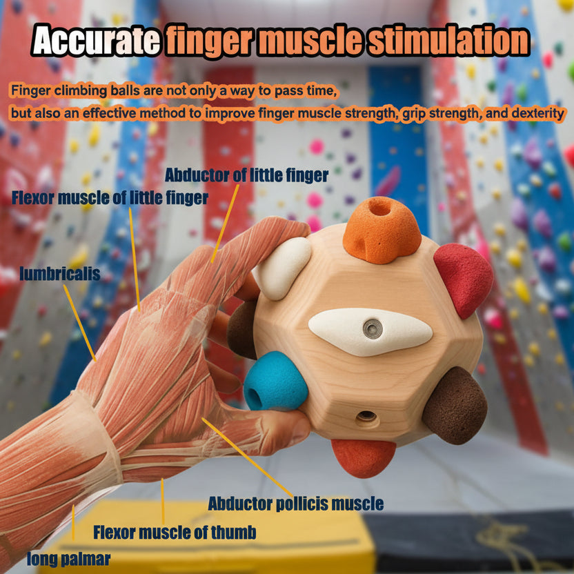 Finger Trainer Bouldering Ball