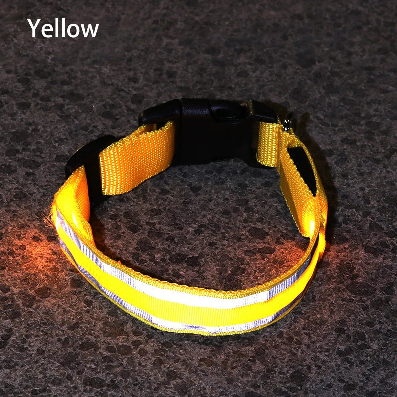 Light-Up High-Visibility Dog Collar