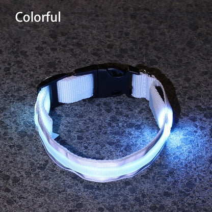Light-Up High-Visibility Dog Collar