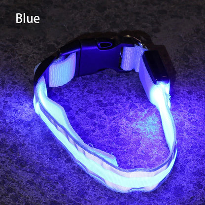 Light-Up High-Visibility Dog Collar