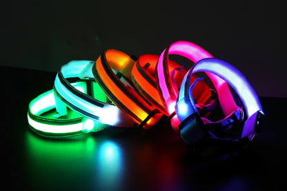 Light-Up High-Visibility Dog Collar
