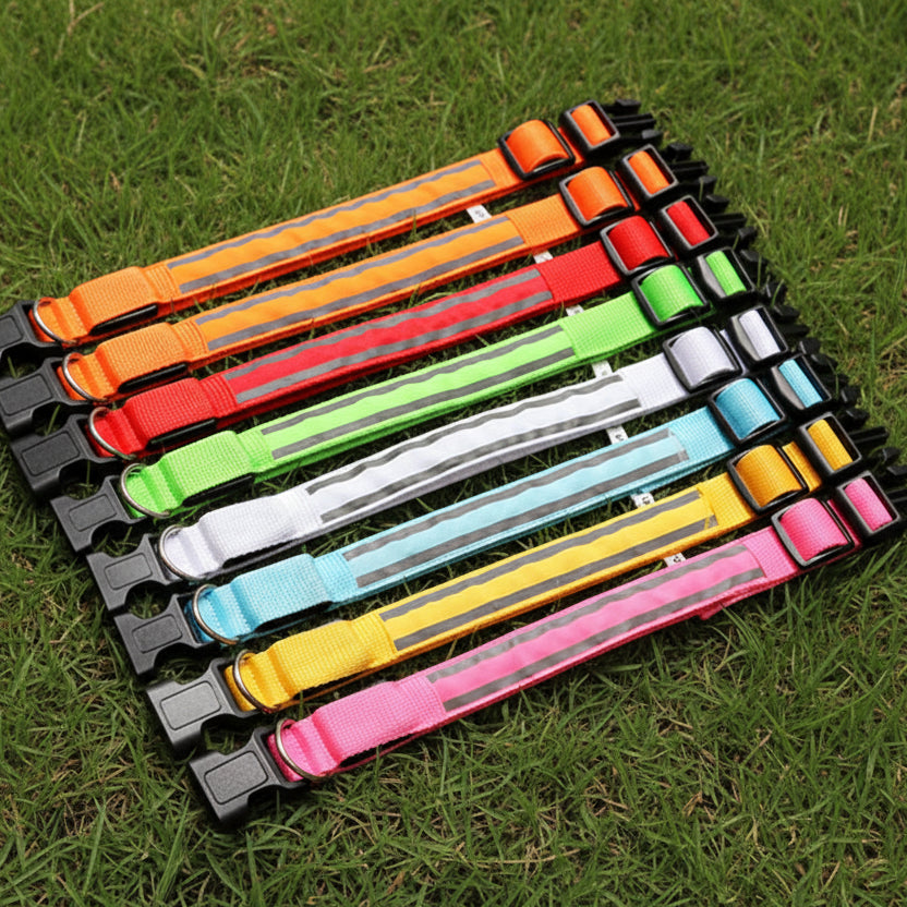 Light-Up High-Visibility Dog Collar
