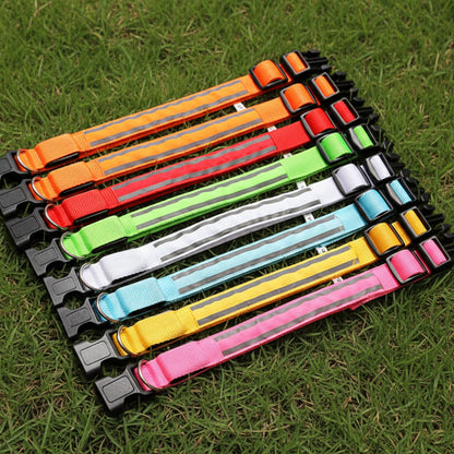 Light-Up High-Visibility Dog Collar