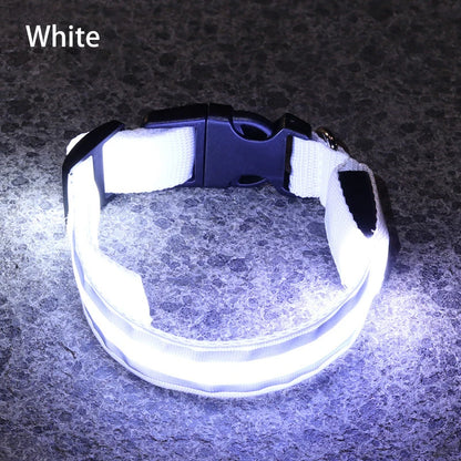 Light-Up High-Visibility Dog Collar