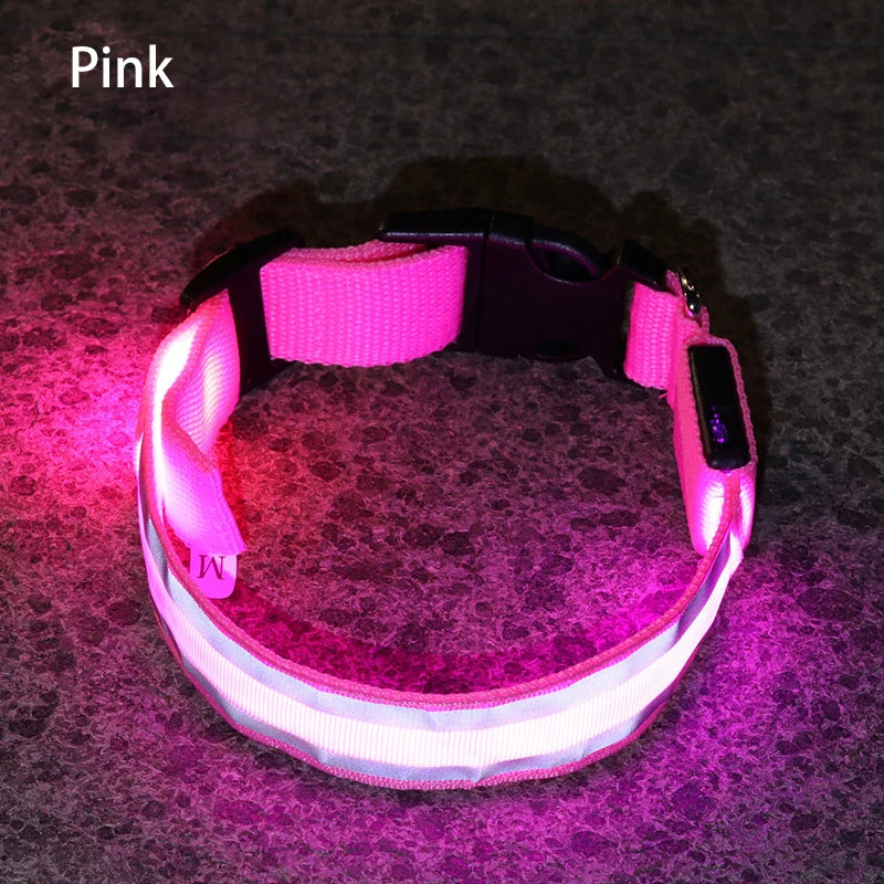 Light-Up High-Visibility Dog Collar