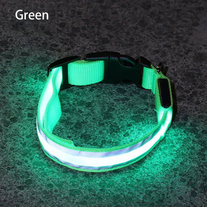 Light-Up High-Visibility Dog Collar