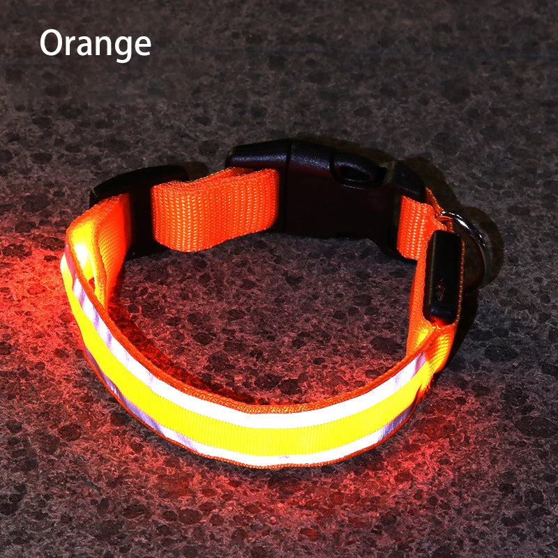 Light-Up High-Visibility Dog Collar