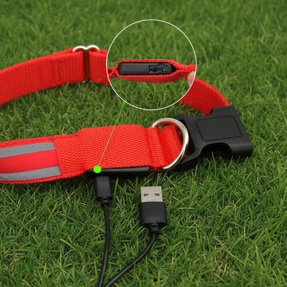 Light-Up High-Visibility Dog Collar