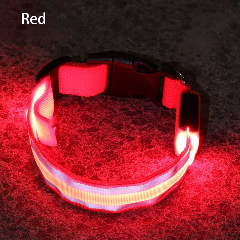 Light-Up High-Visibility Dog Collar