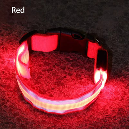 Light-Up High-Visibility Dog Collar